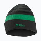 Cappello invernale per bambini Jack Wolfskin Stripy Knit verde ardesia/mistico