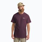 Maglietta da uomo Jack Wolfskin Essential amaranth
