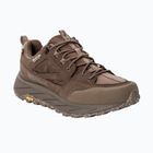 Scarpe da trekking da uomo Jack Wolfskin Terraquest Texapore Low gecko bear
