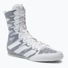 Uomo adidas Box Hog 4 grigio scarpe da boxe GZ6118
