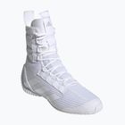 Scarpe da boxe adidas Speedex 23 bianco nuvola/bianco nuvola/grigio uno
