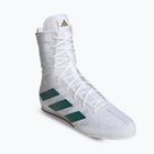 adidas Box Hog 4 nuvola bianca / verde chiaro / nucleo nero scarpe da boxe