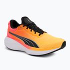 Scarpa da corsa PUMA Scend Pro sun stream/sunset glow