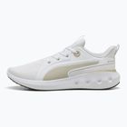 PUMA Softride Carson scarpe da corsa puma bianco/deserto polvere