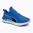 Scarpe da corsa PUMA Softride Carson blu vivido/puma marina