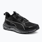 Scarpe da corsa PUMA
