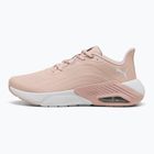 Scarpe da corsa da donna PUMA X-Cell Nova CAT SL quarzo rosa/argento nebbia