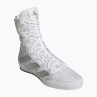 Scarpe da boxe adidas Box Hog 4 white/silver