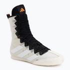 Scarpe da boxe adidas Box Hog 4 Orbit Grey/Ftwr White/Pure Orange