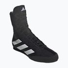 Scarpe da boxe adidas Box Hog 4 black/white