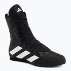 Scarpe da boxe adidas Box Hog 4 black/white