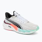 Scarpe da corsa da uomo PUMA Velocity Nitro 4 Hyrox puma bianco / menta