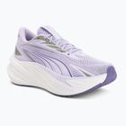 Scarpe da corsa Puma Maxima Pro light lavender/plum purple