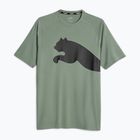 Maglia da allenamento da uomo PUMA Train All Day Big Cat eucalipto/puma nero
