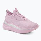 Scarpe da corsa da donna PUMA Softride Stakd Premiums viola