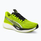 Scarpe da corsa da uomo PUMA Velocity Nitro 3 Psychedelic Rush verde