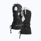 Guanti da sci da uomo ORTOVOX Merino Freeride 3 Finger nero