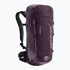 Zaino ORTOVOX Traverse 28 l, frutti di bosco