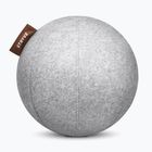STRYVE Active Ball 65 cm grigio chiaro