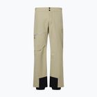 Pantaloni da sci uomo Descente Light Insulated snow conifer