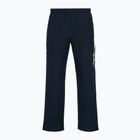 Pantaloni da allenamento da uomo Mizuno Takeshi Track navy