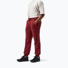 Pantaloni Berghaus Prism syrah da uomo