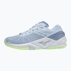 Scarpe da pallamano da donna Mizuno Wave Stealth Neo erica/bianco/neo lime