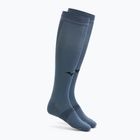 Calze Mizuno Compression Citadel