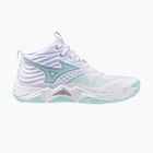 Scarpe da pallavolo da donna Mizuno Wave Momentum Elite Mid bianco/blu