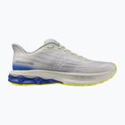 Scarpe da running uomo Mizuno Wave Skyrise 7 dawn blue/white/dazzling blue