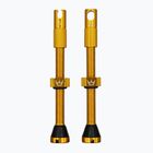 Peaty's X Chris King MK2 Set di valvole Presta Tubeless 60 mm oro