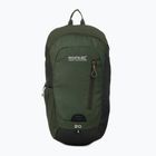Zaino da trekking REGATTA Highton V2 20 l dkkhk/frlfcl