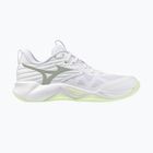 Scarpe da pallavolo donna Mizuno Wave Momentum Pro white/aqua gray/ambrosia
