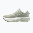 Scarpe da corsa donna Mizuno Wave Rider 30 balsam green/mentholated/white
