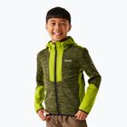 Felpa con cappuccio in pile per bambini REGATTA Dissolver X verde nefrite/verde verde scuro/nero