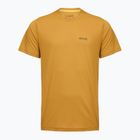 Maglietta da uomo REGATTA Mindoi Anti Insect wood brown