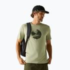 Maglietta da trekking da uomo REGATTA Fingal Stretch light sage