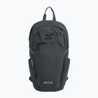 Zaino urbano REGATTA Everyday Prism 20 l ash