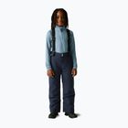Pantaloni da sci per bambini Dare 2b Outmove III Insulated Pant navy