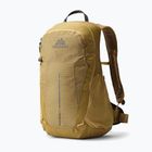 Zaino da trekking Gregory Arrio 20 RC amber haze