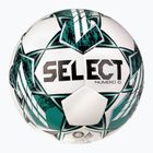 SELEZIONE calcio Numero 10 v23 bianco/verde dimensioni 5