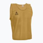Segnalatore calcistico senior SELECT Basic gold