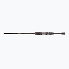 Canna da spinning DRAGON Fishing Express Spinn 25