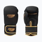 Guantoni da boxe StormCloud Boxing Pro black/gold