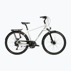 Bicicletta da trekking KROSS Trans 5.0 grey/navy blue/gloss