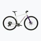 Bicicletta gravel KROSS Esker 1.0 FL grey/purple/gloss