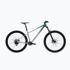 Bicicletta da montagna KROSS Level X400 grey/silver/matte