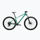 Bicicletta da montagna KROSS Level X100 green/black/matte