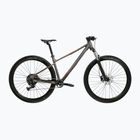 Bicicletta da montagna KROSS Level X100 grey/brown/matte