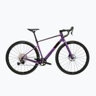 Bicicletta gravel KROSS Esker ADV 1.0 purple/matte